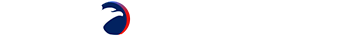 logo sindonews video